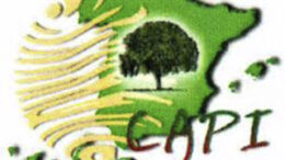 ConfederacindeAgrupacionesPolticasCAPI