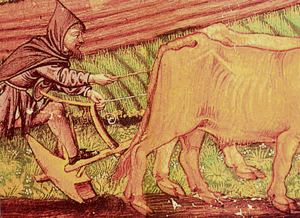 campesino192