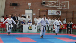 KarateTorrelagunaIMG 7492