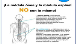 MedulaDOnacionImagen