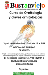 CartelBustarPajaros