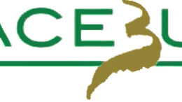 Acebulogo