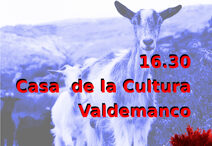 Valdemancocartel2015b