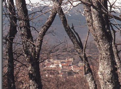 MontejoFolletoArchivo