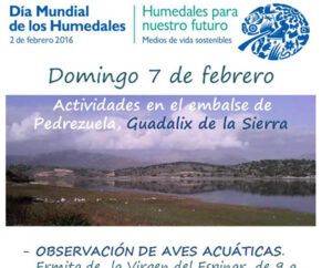 Humedales217