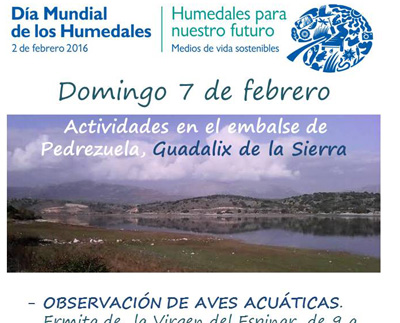 Humedales217