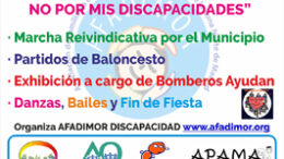 Afadimordiscapacidad2016