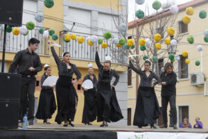 ActNavalafuenteflamenco MG 1552