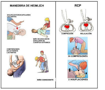 RCP-BASICA-1