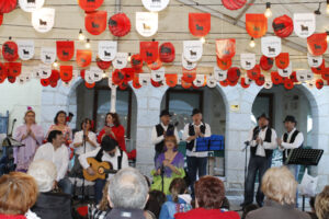 ActCabanillasFlamenco MG 2008