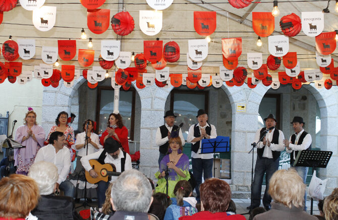 ActCabanillasFlamenco MG 2008