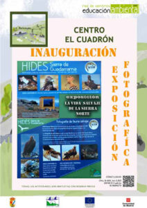 Cuadronexpocartel15