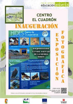 Cuadronexpocartel15