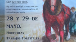 Cursotraccioanimalmontejo