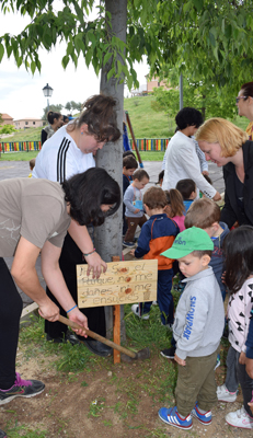 TorrelagunaecoescuelaDSC 0631