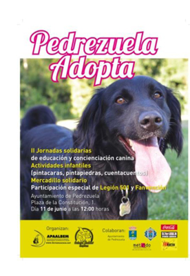 PedrezuelaAdoptaJunio11