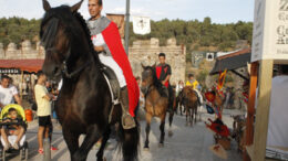 BuitragoFeria MG 4270