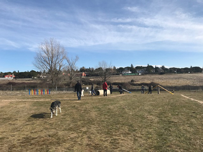 PedrezuelaParque canino229