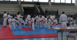 ActBuitragoKarate MG 9007