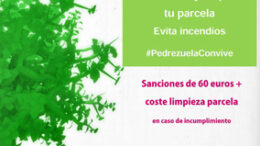 PedrezuelaDesbrocecampaa