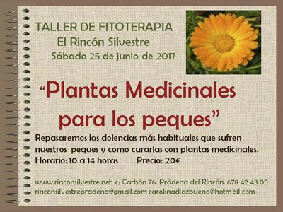 PLantasmedicnalespeques