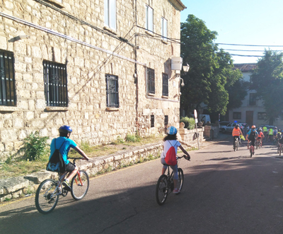 Torrelagunabici bus01