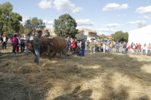 ElBerruecoFeria MG 1850