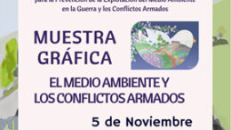 CuadronCONFLICTOSARMADOS2