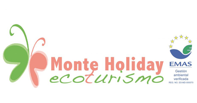 MonteHoliday