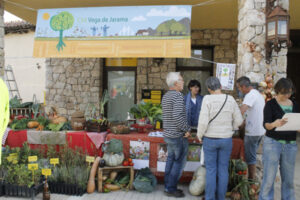 Torremochaagro MG 2522