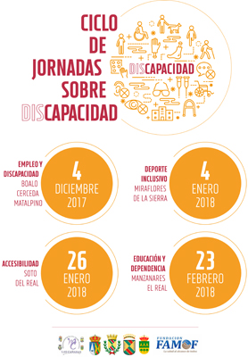 JornadasDiscapacidadMancSoto