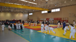 MolarJudo188