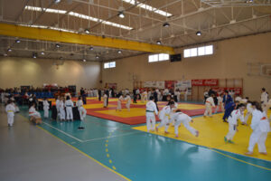 MolarJudo188