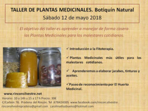 TallerPLantas12mayo