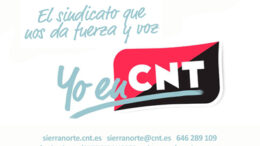 CNT232