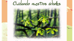 MontejoArboles18