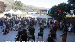 Robregordoenaccion43