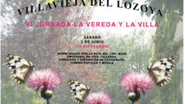 VeredaVillavieja18