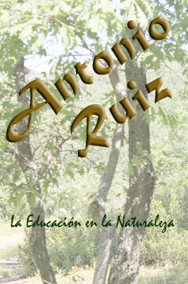 AntonioRuiz74