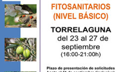 Torrelagunaimidra19