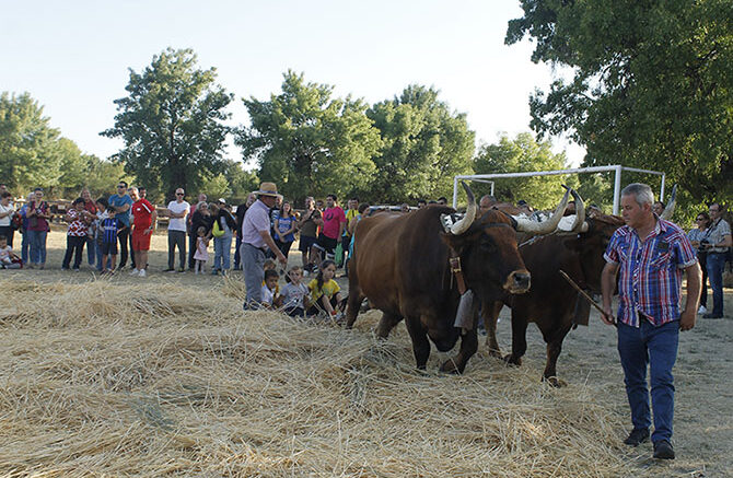 Act67BerruecoFeria