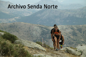 Archivo38
