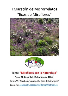 MirafloresMaraton21abri