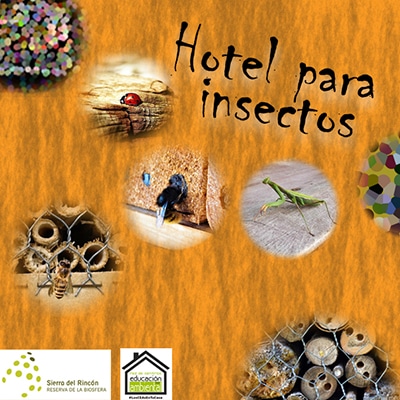 SierraRinconInsectos23abr